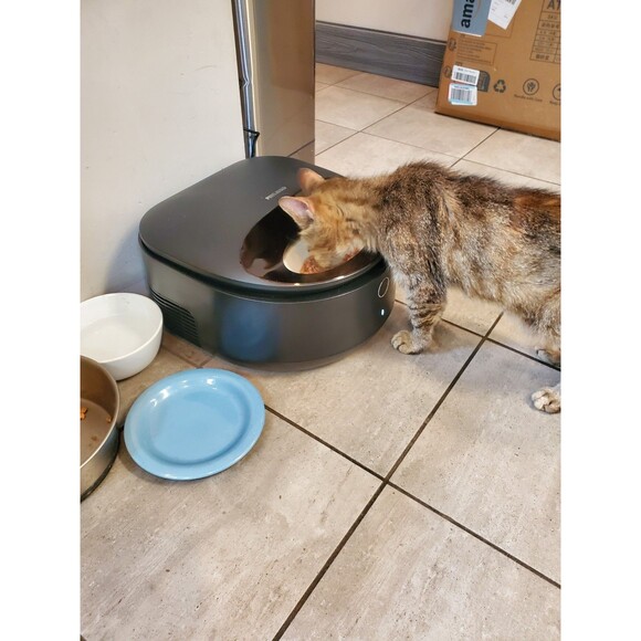 USED. PETLIBRO POLAR .STEEL BOWL. BLACK. WET FOOD PET CAT FEEDER  *LIKE NEW - Picture 8 of 11